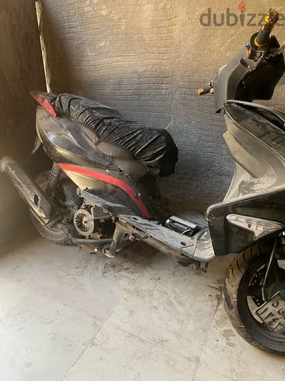 حوا r8
