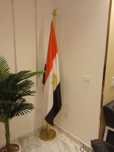 سارى علم