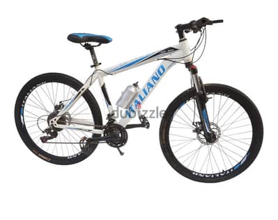 Italiano bicycle