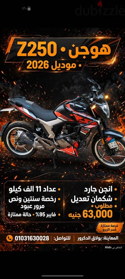 هوجن z250