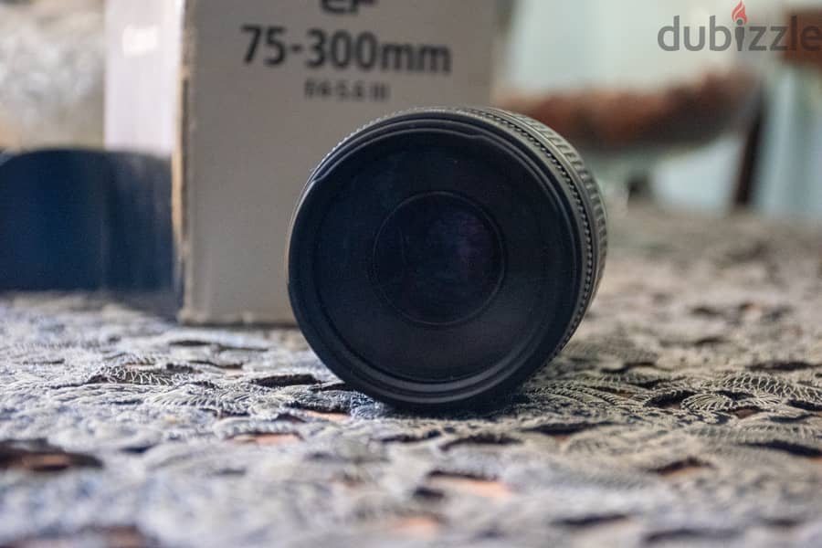 Canon EF 75-300mm f/4-5.6 iii 6