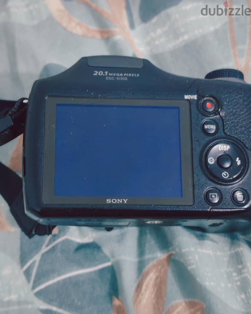 Sony Cyber-shot DSC H300 1