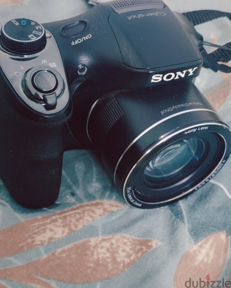 Sony Cyber-shot DSC H300 2