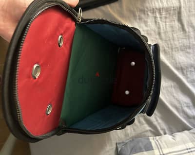 Pets carrier for kittens