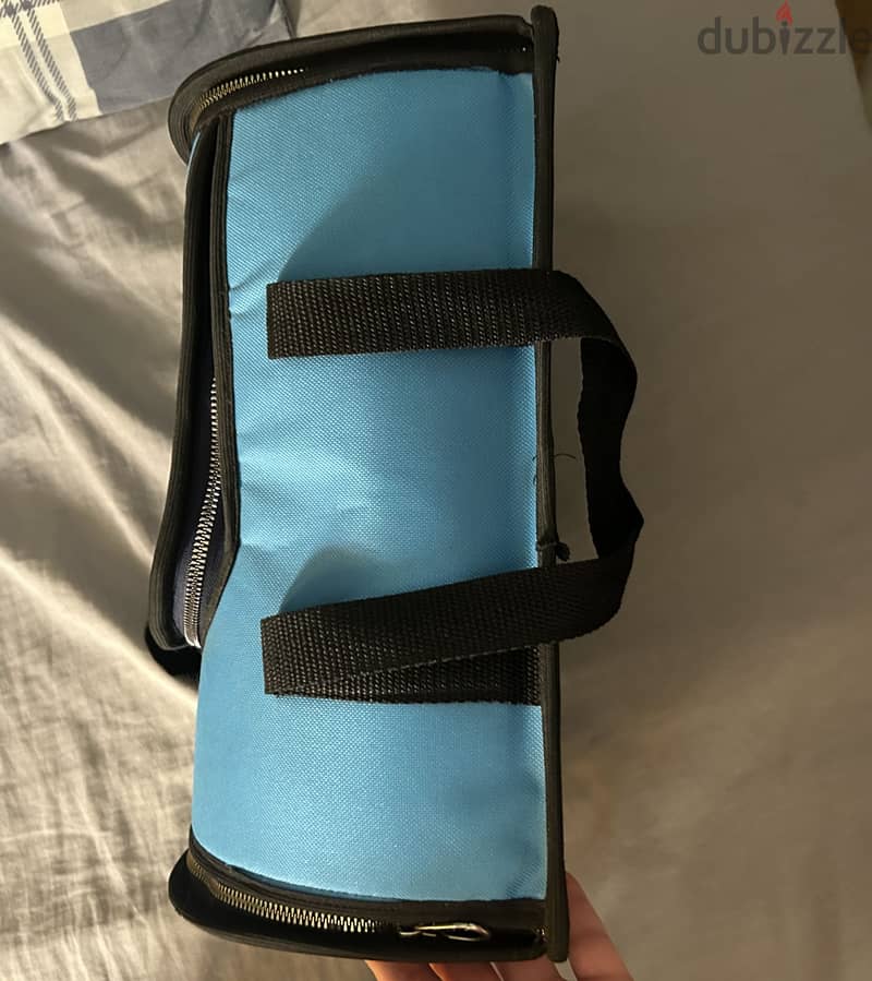 Pets carrier for kittens 1