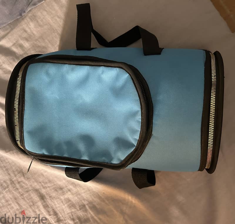 Pets carrier for kittens 2