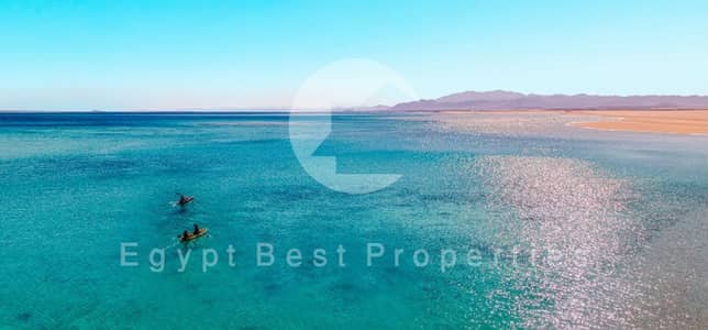 آخر شالية غرفة نوم واحدة بإطلالتين في البحر الاحمر ألماظة رأس سومة ومقدم ٥٪ بس تقسيط على ٧ سنين!!!