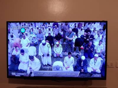 شاشة  تليفزيون