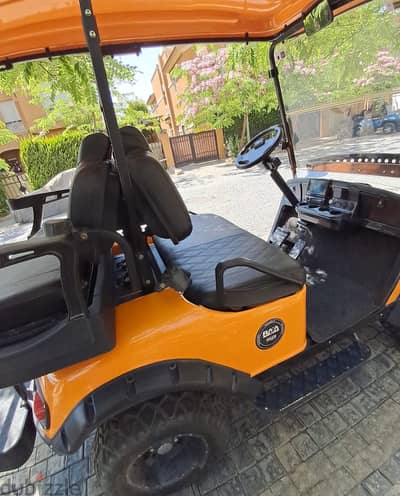 Raya Golf car 4x4
