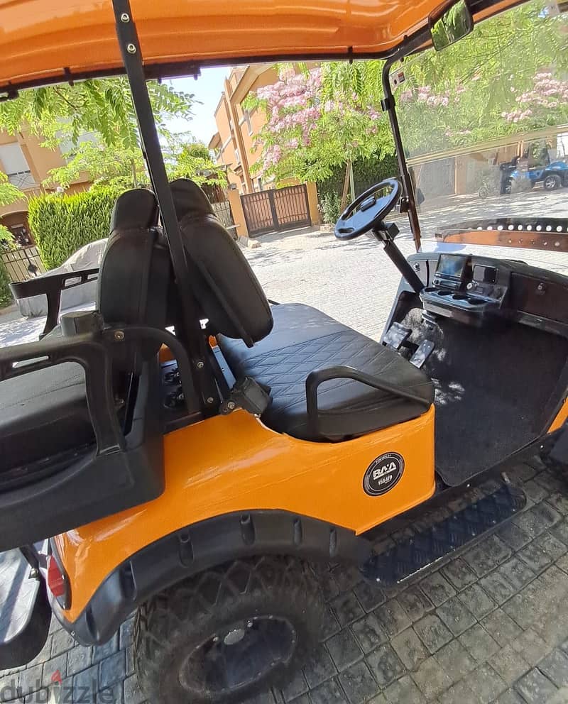 Raya Golf car 4x4 6
