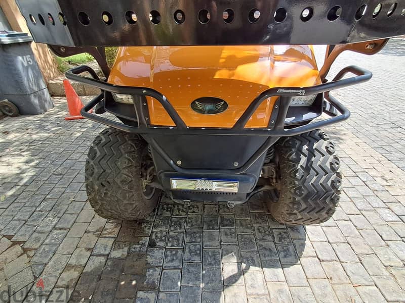 Raya Golf car 4x4 2