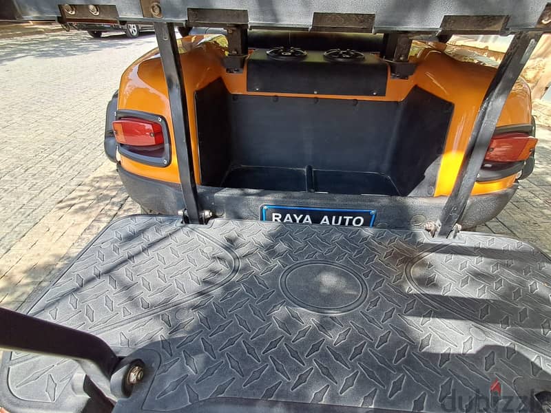 Raya Golf car 4x4 3