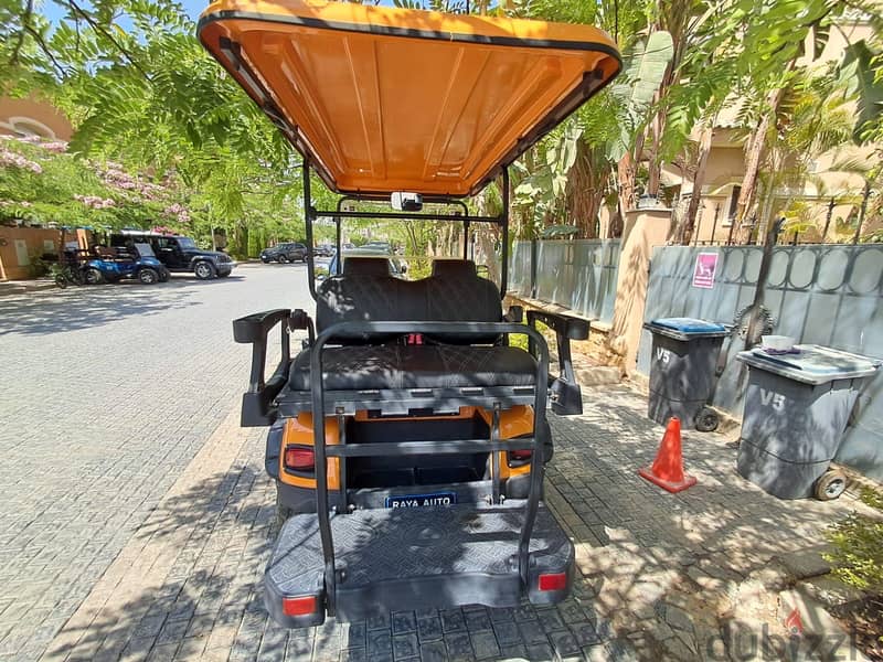 Raya Golf car 4x4 4