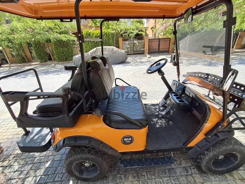Raya Golf car 4x4 5