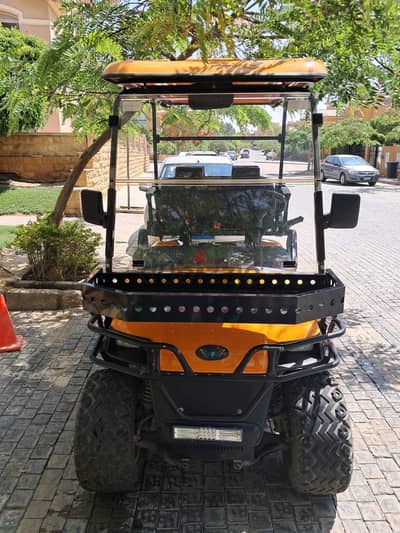 Raya Golf car 4x4