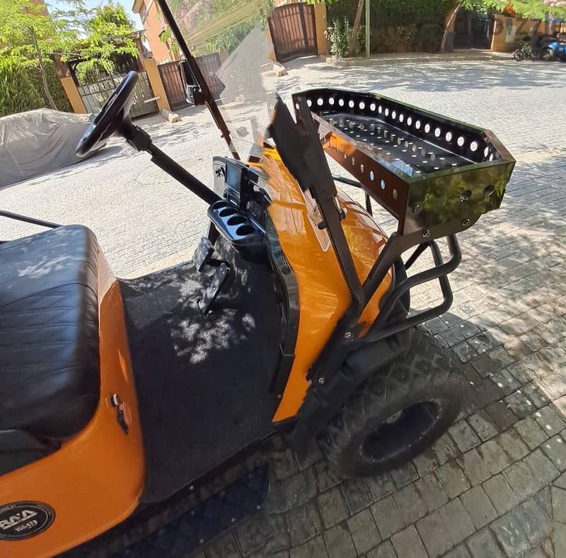 Raya Golf car 4x4 7