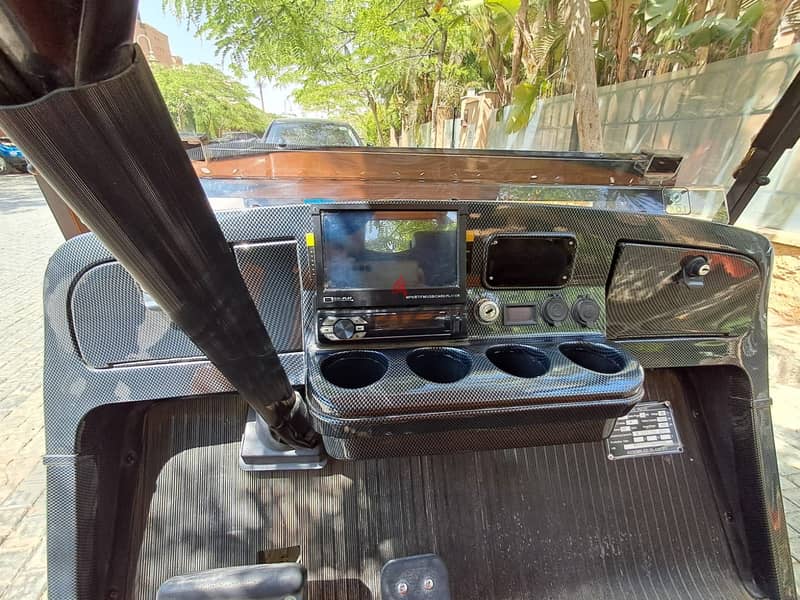 Raya Golf car 4x4 8