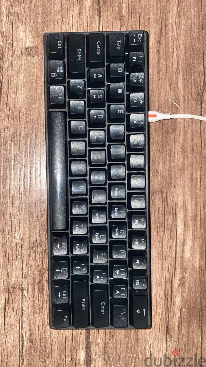 White shark GK-2022 4