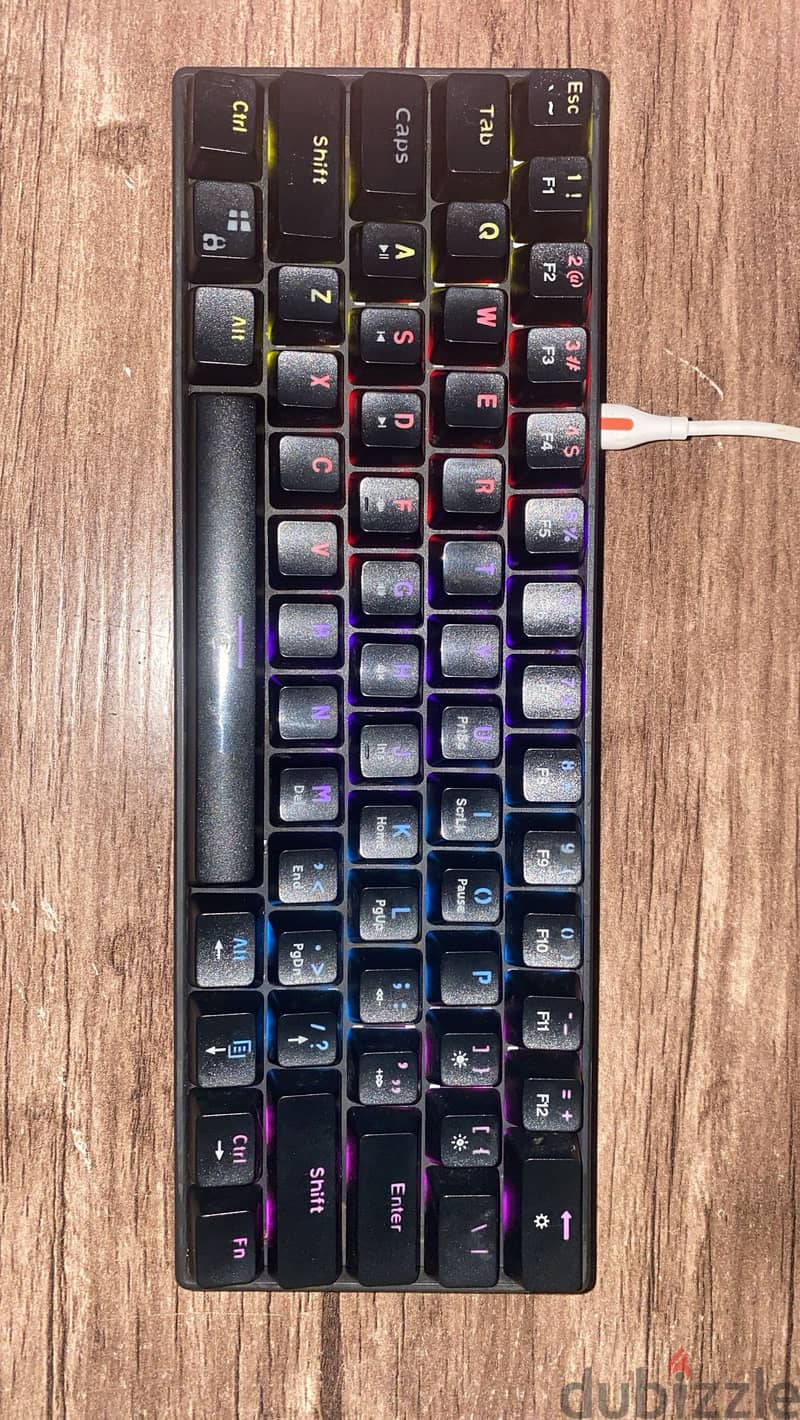 White shark GK-2022 5