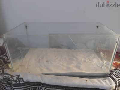 حوض سمك كبير