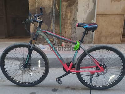 Phoenix Bicycle