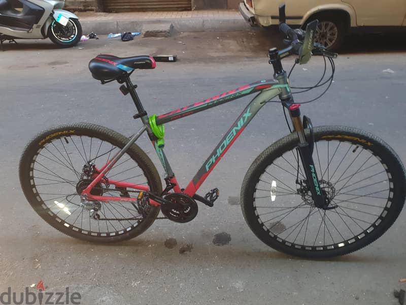 Phoenix Bicycle 1
