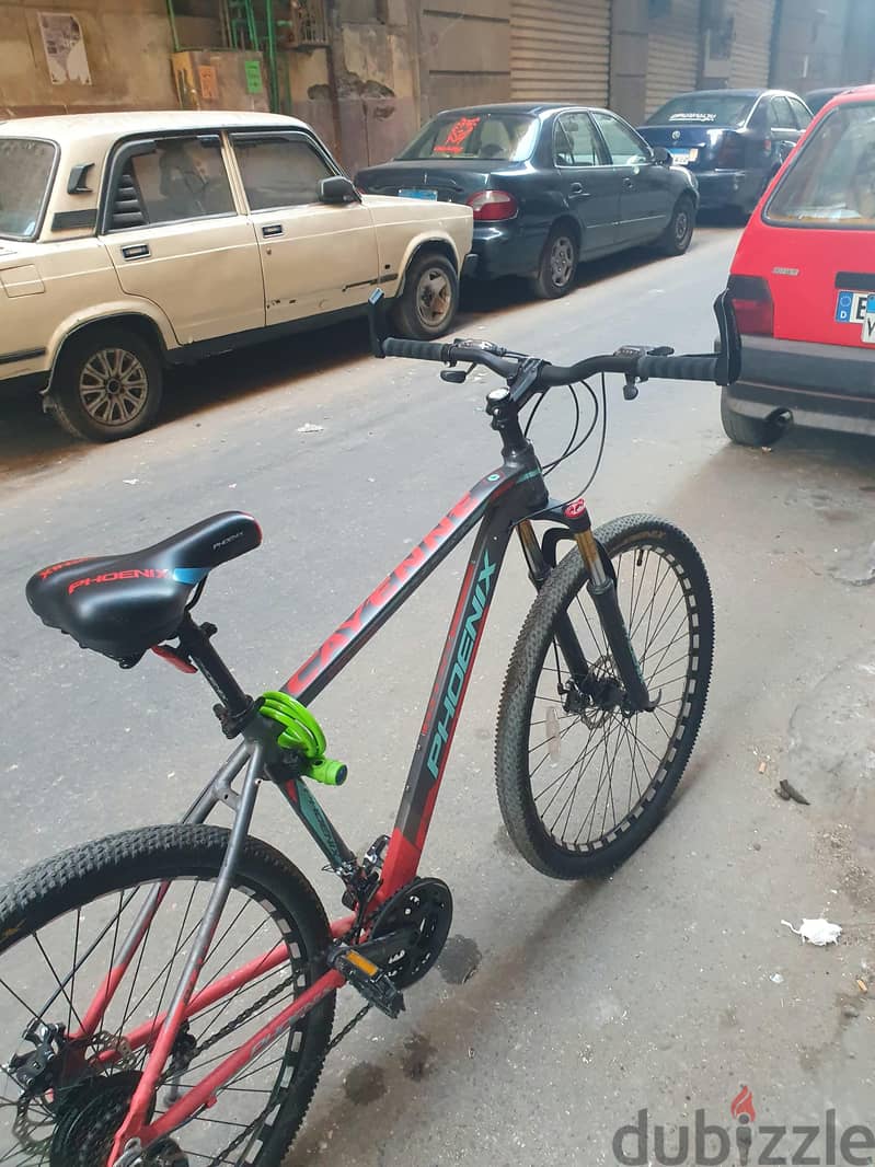 Phoenix Bicycle 2