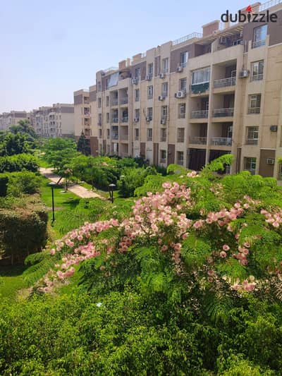 Apartment for Sale in Madinaty B7 | 2nd Floor | 2 Bedrooms | Premium Finishing | Directly Facing the Club Apartment for Sale in Madinaty B7 | 2nd Floor | 2 Bedrooms | Premium Finishing | Directly Facing the Club
