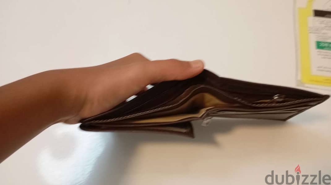 Cat wallet 1