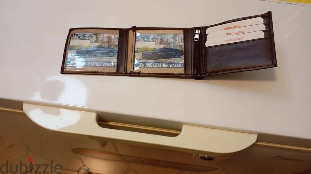 Cat wallet 2