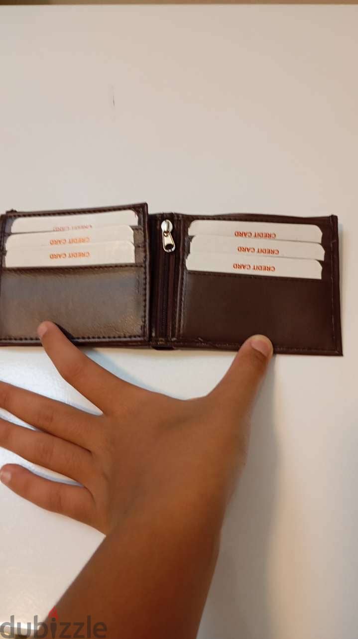 Cat wallet 3