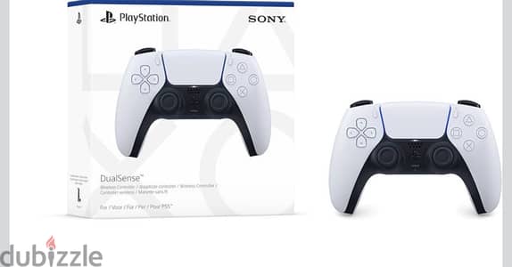 Ps5 controlleing