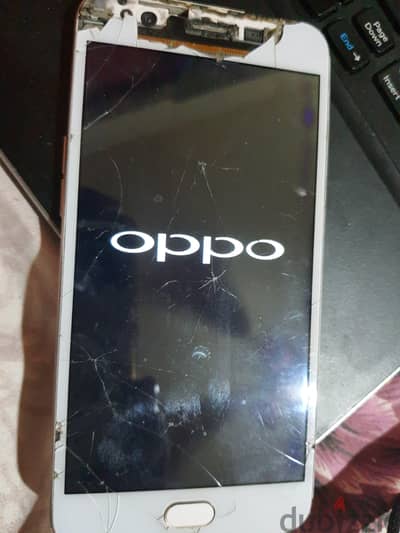 OPPO F1s معاه العلبة