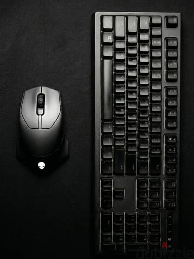 Keyboard and mouse