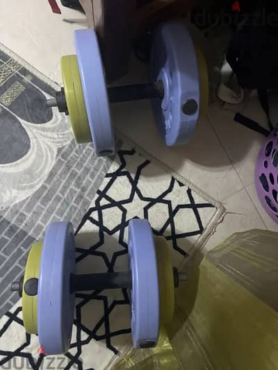 30 kg dumbbells