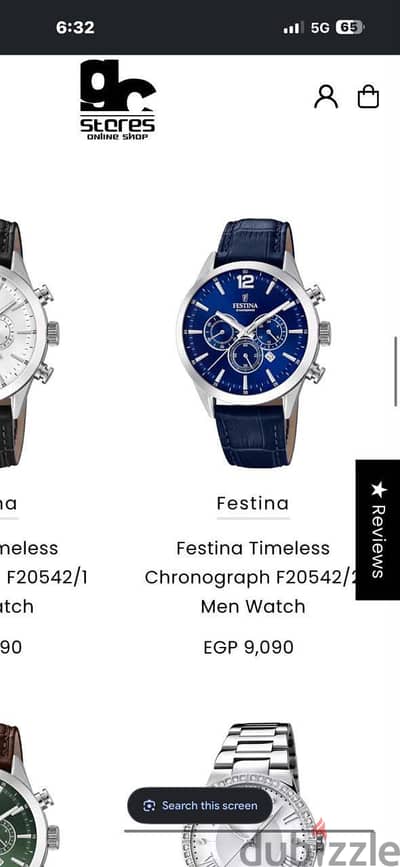 Festina Watch