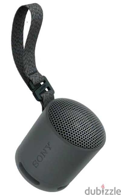 SONY SRS-XB100