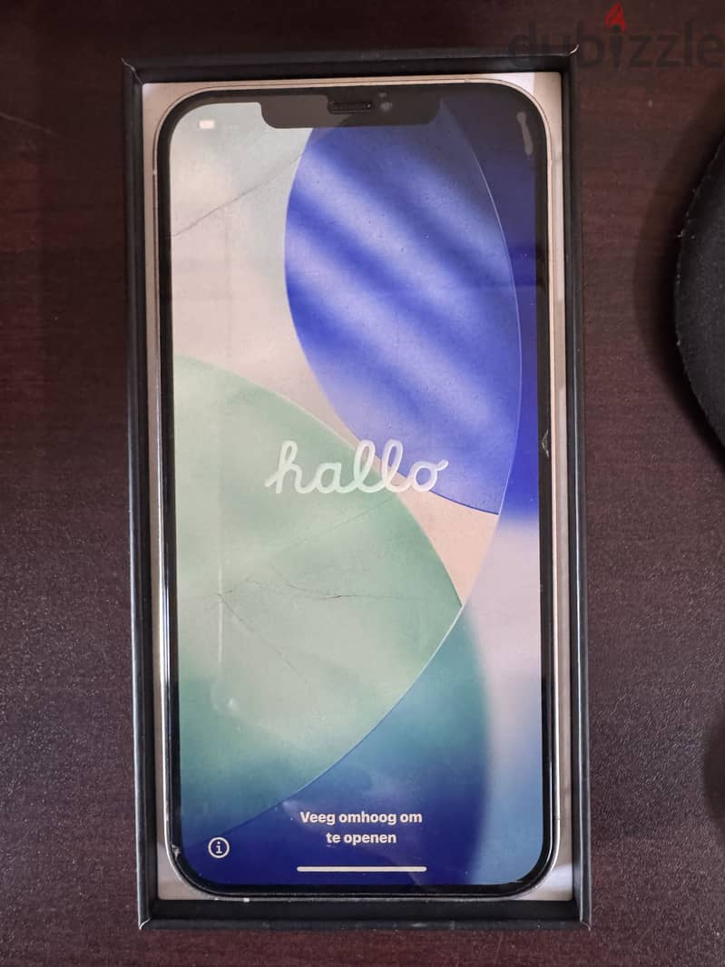 Apple - iPhone 12 Pro Max 1