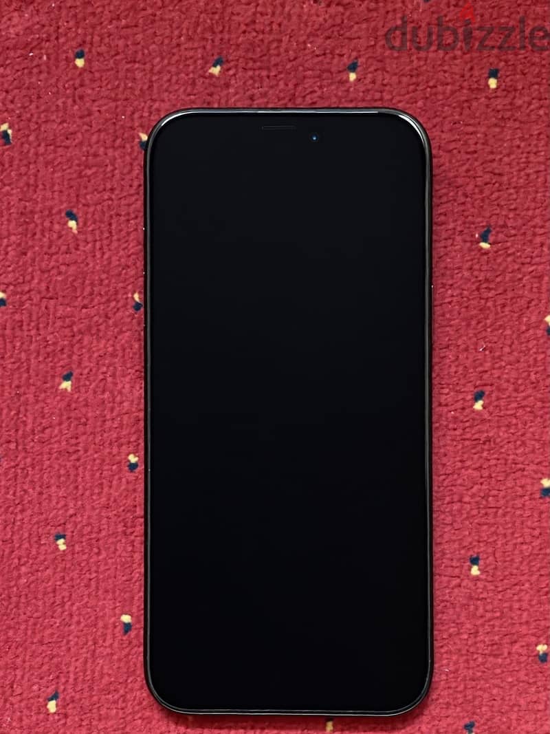 iPhone 16 Pro Max 2