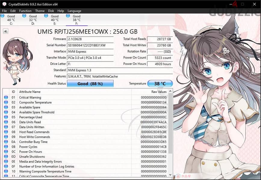 SSD NVMe 256GB 1