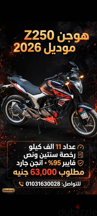 هوجن z250