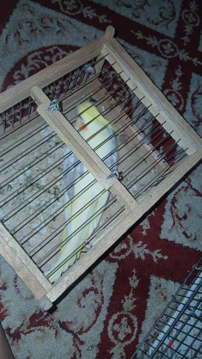 القاهره مدينة نصر