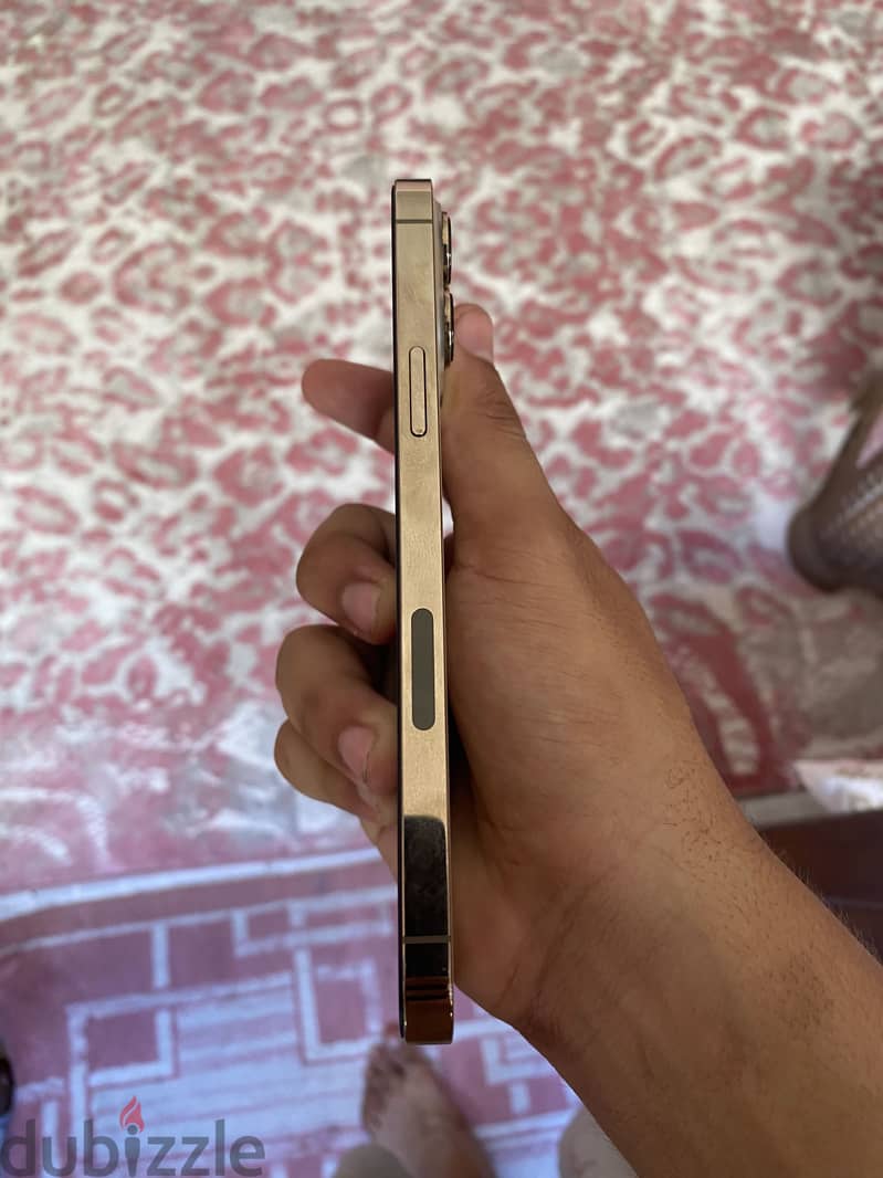 Apple - iPhone 13 Pro Max 1