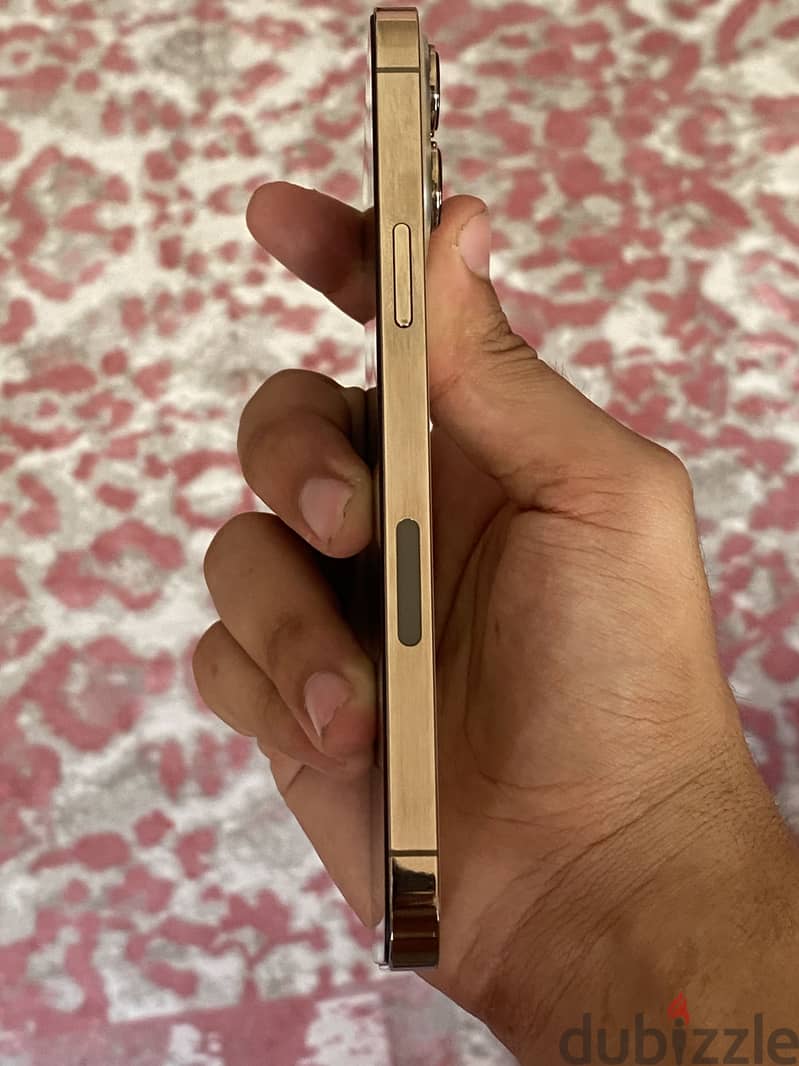 Apple - iPhone 13 Pro Max 2