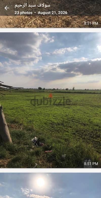 عزبة المباحث – ميت سلسيل – الدقهلية