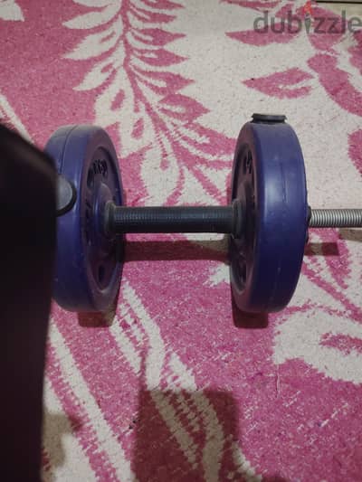 ادوات راضيه  دمبلز