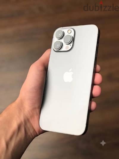 IPHONE 13 PROMAX