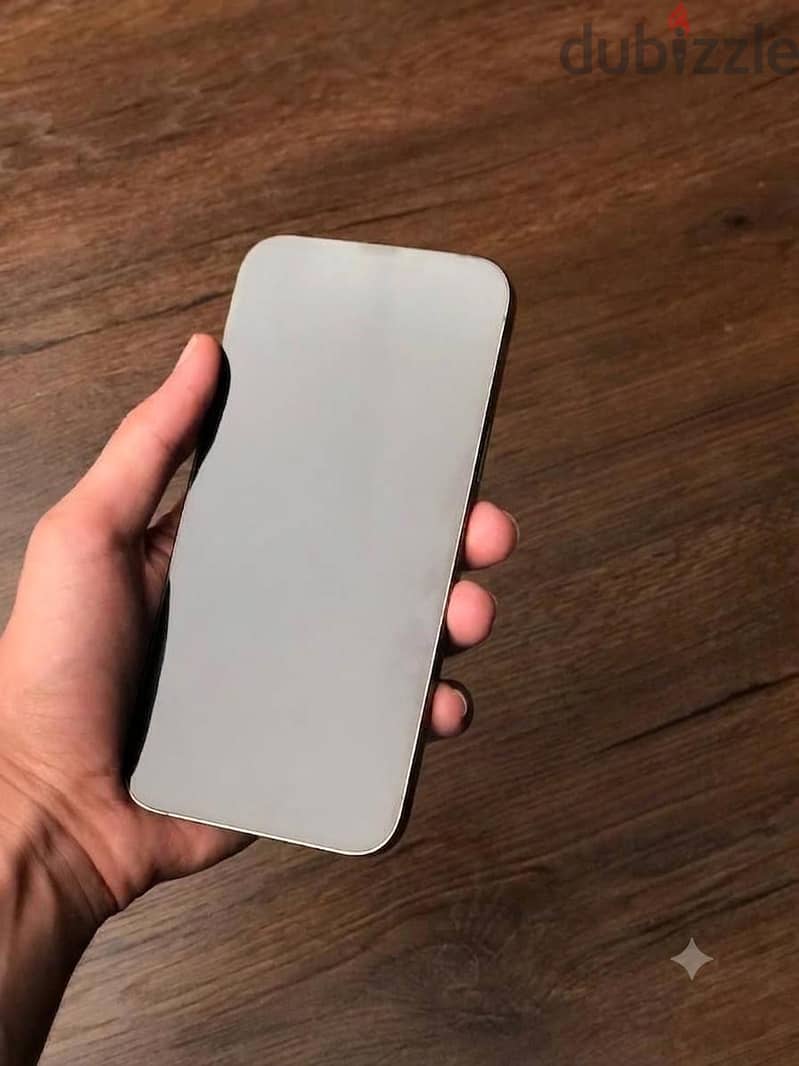 IPHONE 13 PROMAX 1