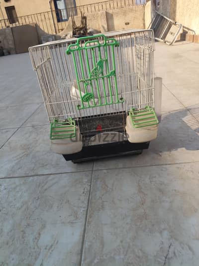 قفص عصافير صغير