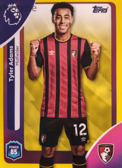 premier league card tyler adams